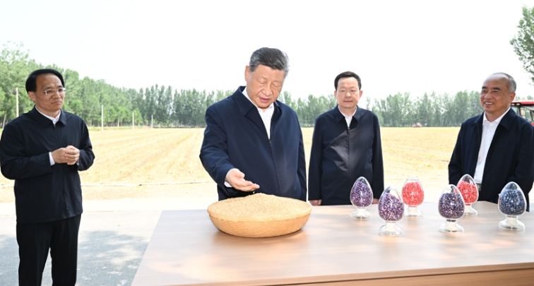 图