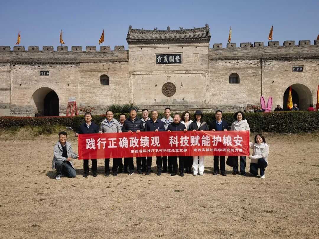图
