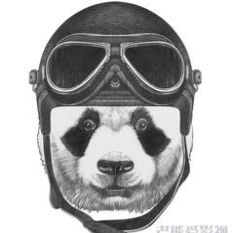 图
