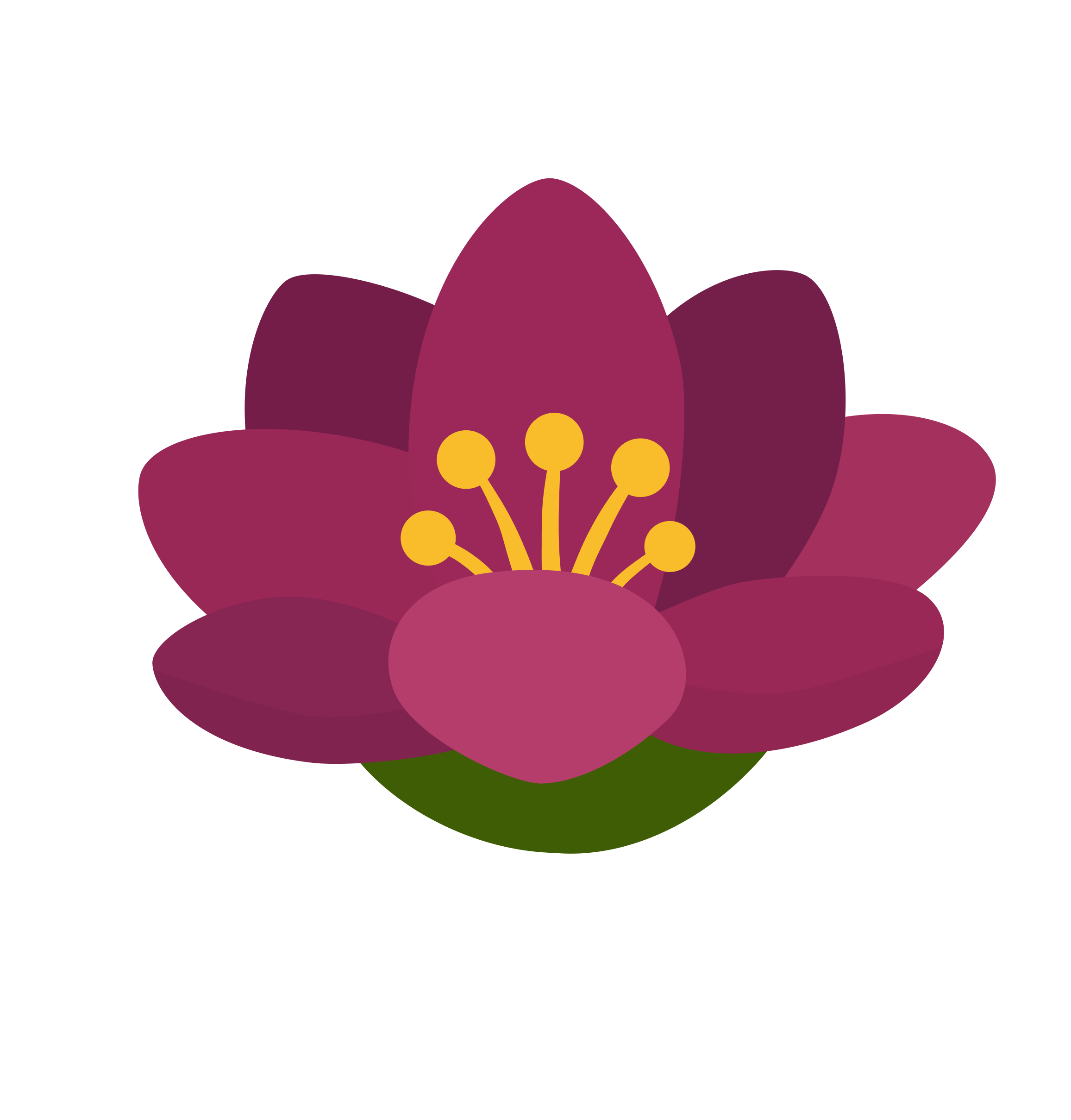 图