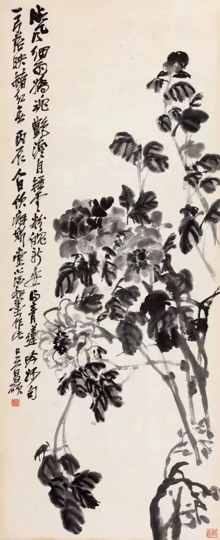 图