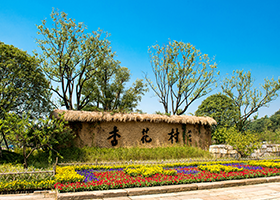 图