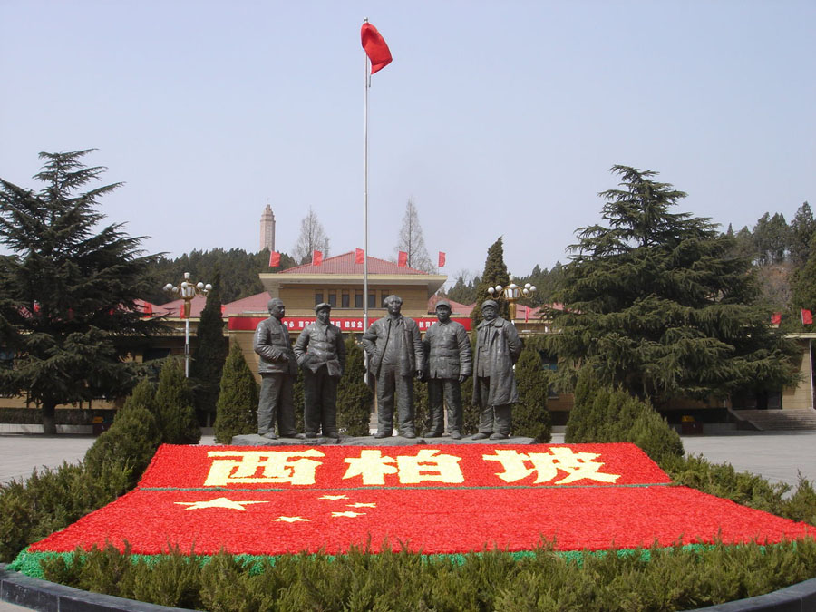 图