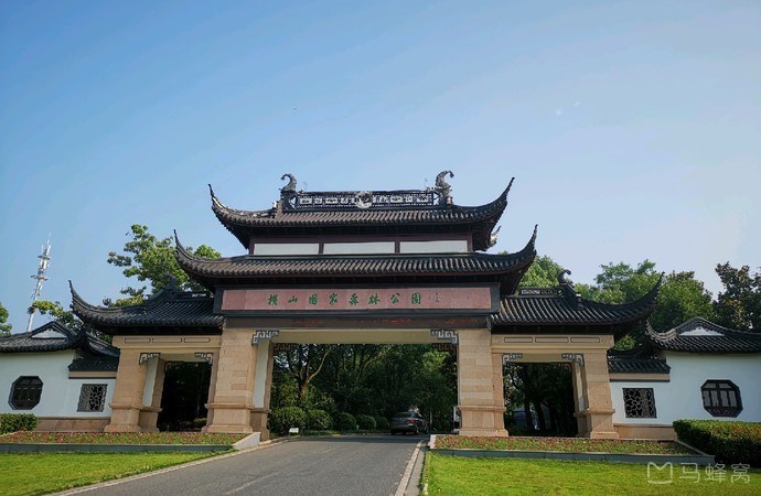 图