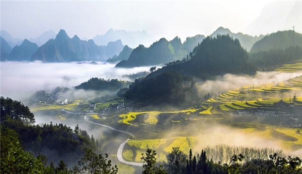 图